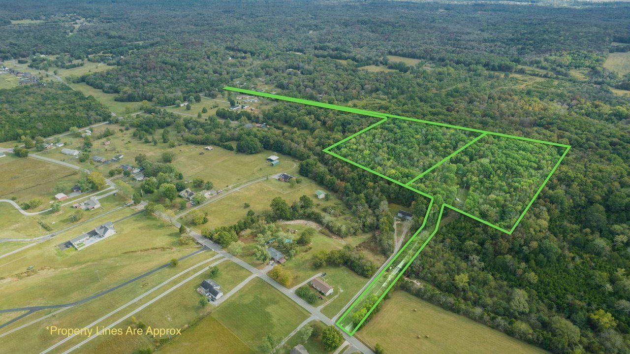 The 2023 drone photo, looking south, with both of Gary's lots outlined in green